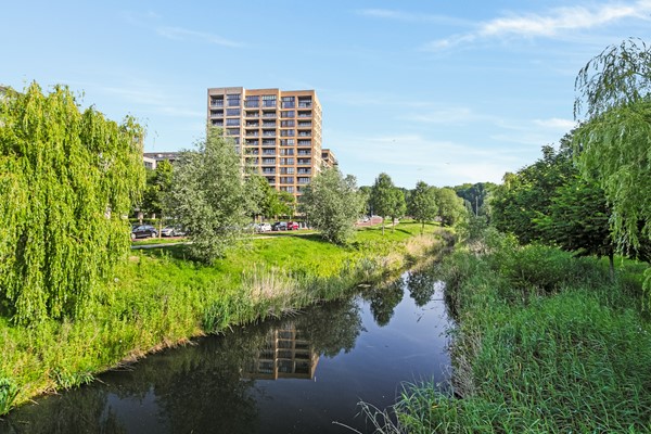 Medium property photo - Titus van Rijnstraat 151, 1058 GB Amsterdam